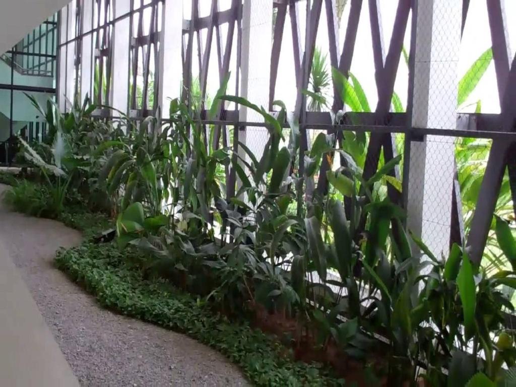 a row of plants in a greenhouse at ONOMO Hotel Abidjan in Abidjan