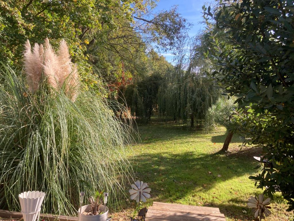 a garden with some tall grass and trees at GITE Voie Verte , jardin, CV LOUHANS in Louhans