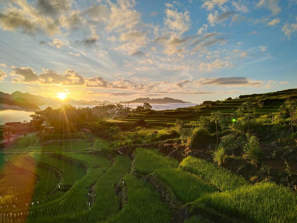 a sunset over a green field with the sun in the background at Pù Luông Happy Home in Hương Bá Thước