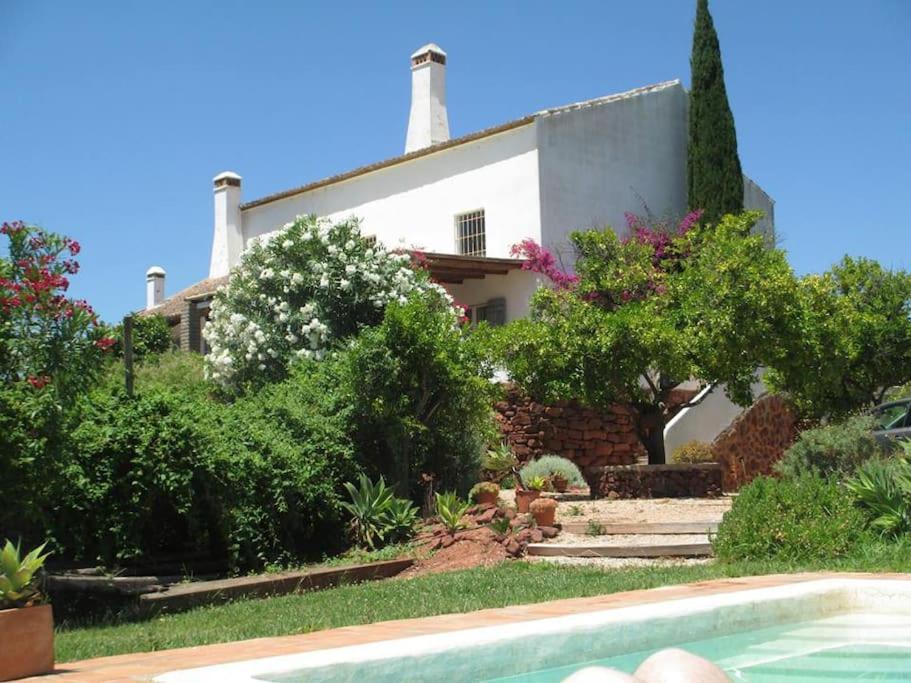 uma casa com jardim e piscina em Charming Country House in Silves em São Bartolomeu de Messines