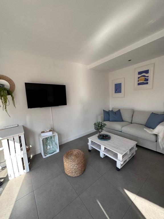 un salon avec un canapé et une télévision dans l'établissement Antibes, tout à vos pieds, à Antibes