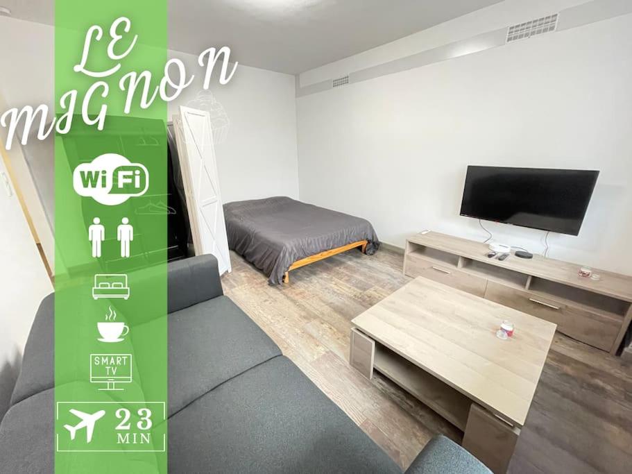 - un salon avec un canapé et une télévision dans l'établissement #Le Mignon Calme & Reposant WIFI-TV Parking, à Illzach