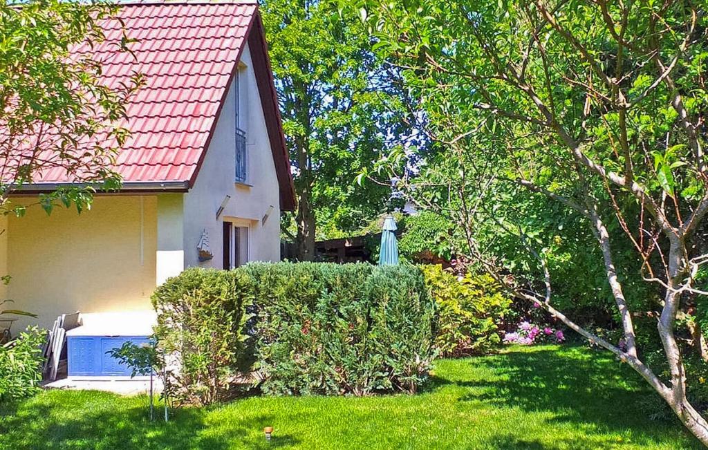 a house with a hedge in front of a house at Gorgeous Apartment In Waren mritz With Wifi in Warenshof