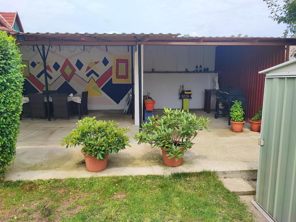 Zahrada ubytování Szaffi apartman