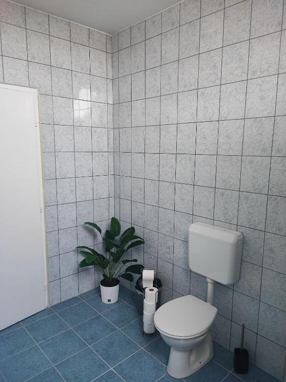 Koupelna v ubytování Szaffi apartman