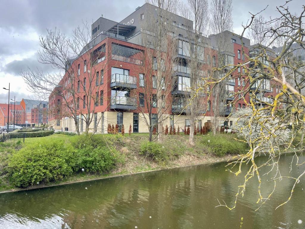 Island Modern Box Apartment - 14