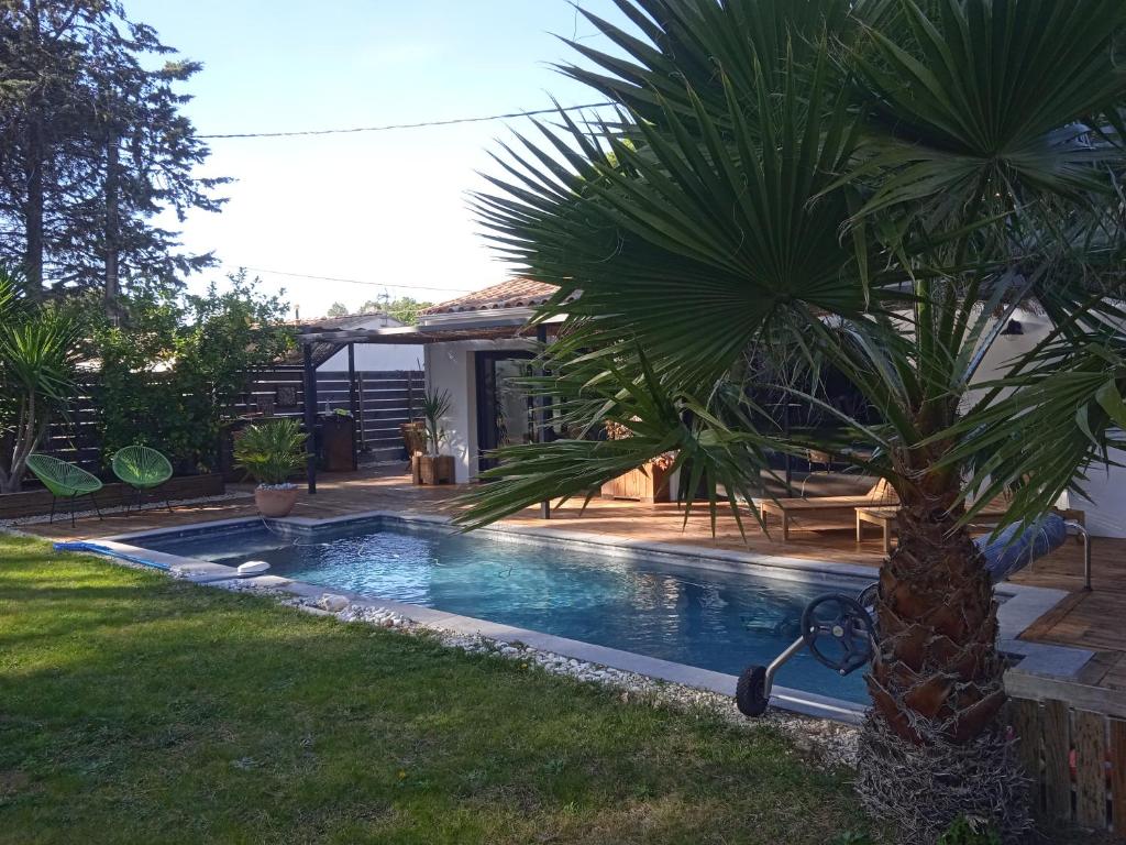 palma w ogrodzie z basenem w obiekcie Corner of paradise with heated swimming pool w mieście Aigues-Mortes