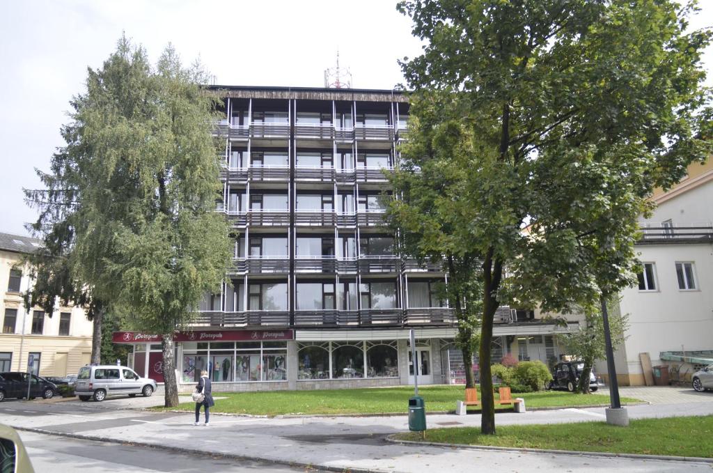 un edificio con una persona parada frente a él en Grajski Dvor, en Radovljica