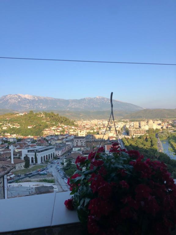 une vue sur une ville avec un bouquet de fleurs dans l'établissement Guest House LION, à Berat