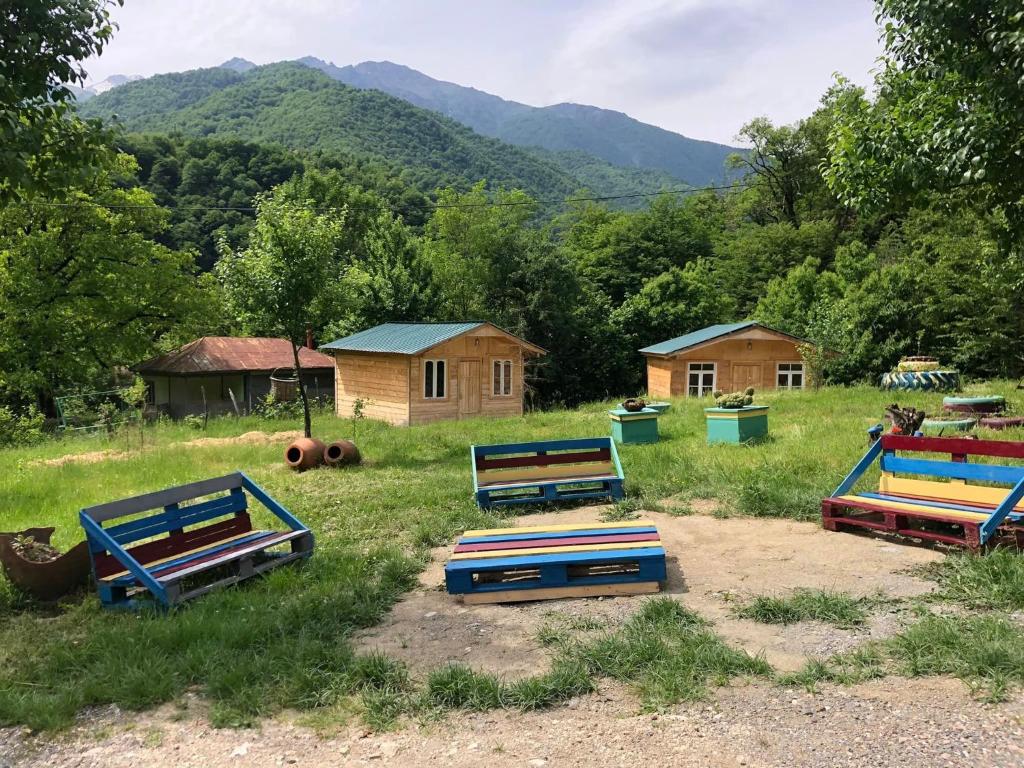 a group of benches in a field with mountains in the background at Dogurashi valley in Tsʼageri
