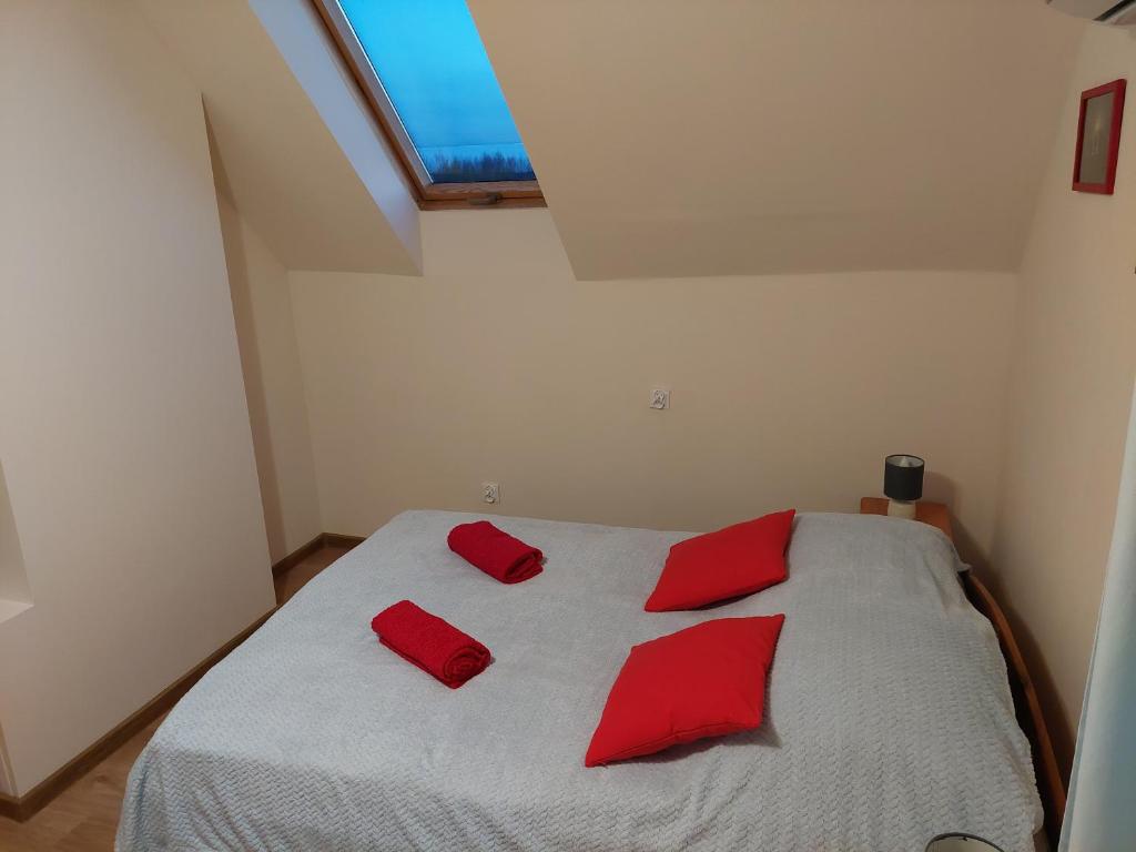 Magnolia Gospodarstwo Agroturystyczne - 18