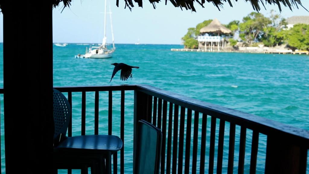 Mejores Hoteles en Isla Grande | Islas del Rosario 542874555