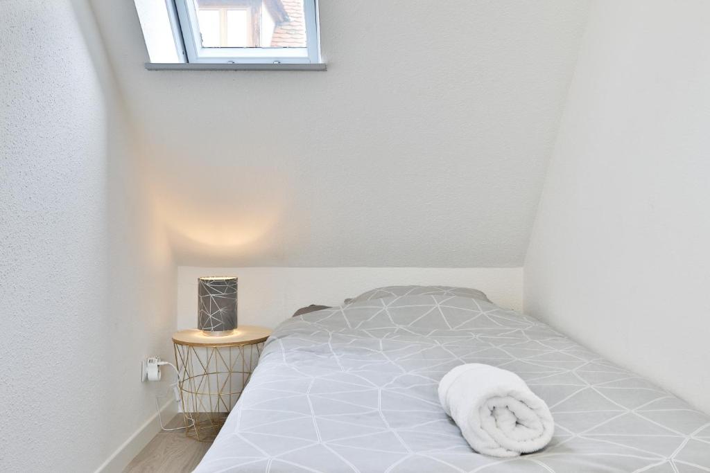 Appartements en duplex 3 et 4 personnes - Route des Vins - Centre Alsace - Proche Marchés de Noël – photo 49