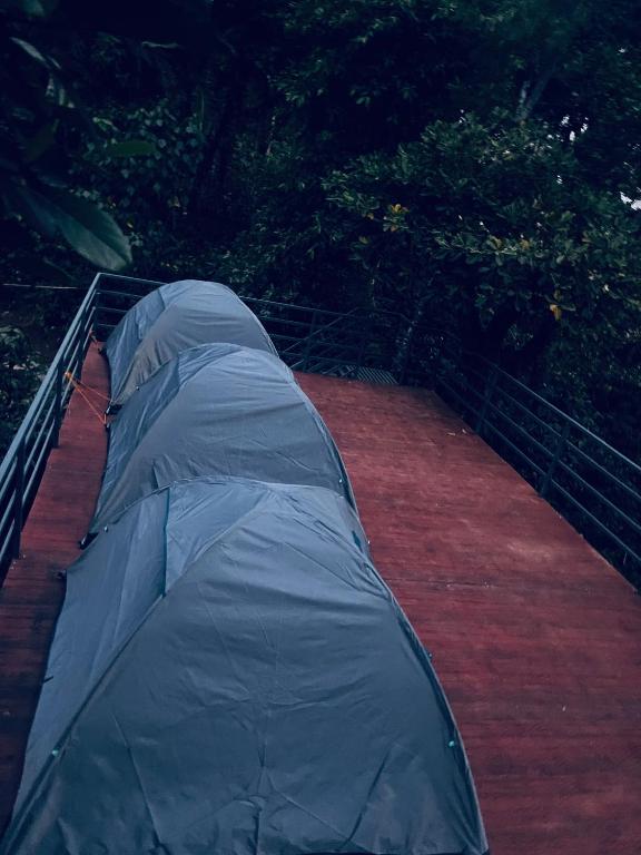 Fotografie z fotogalerie ubytování EMs Campsite v destinaci Jambur