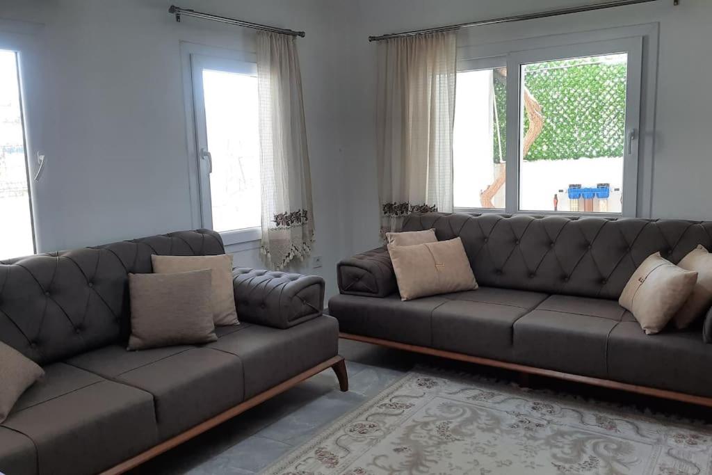 a living room with two couches and two windows at Bodrum Family Apartments in Bodrum City