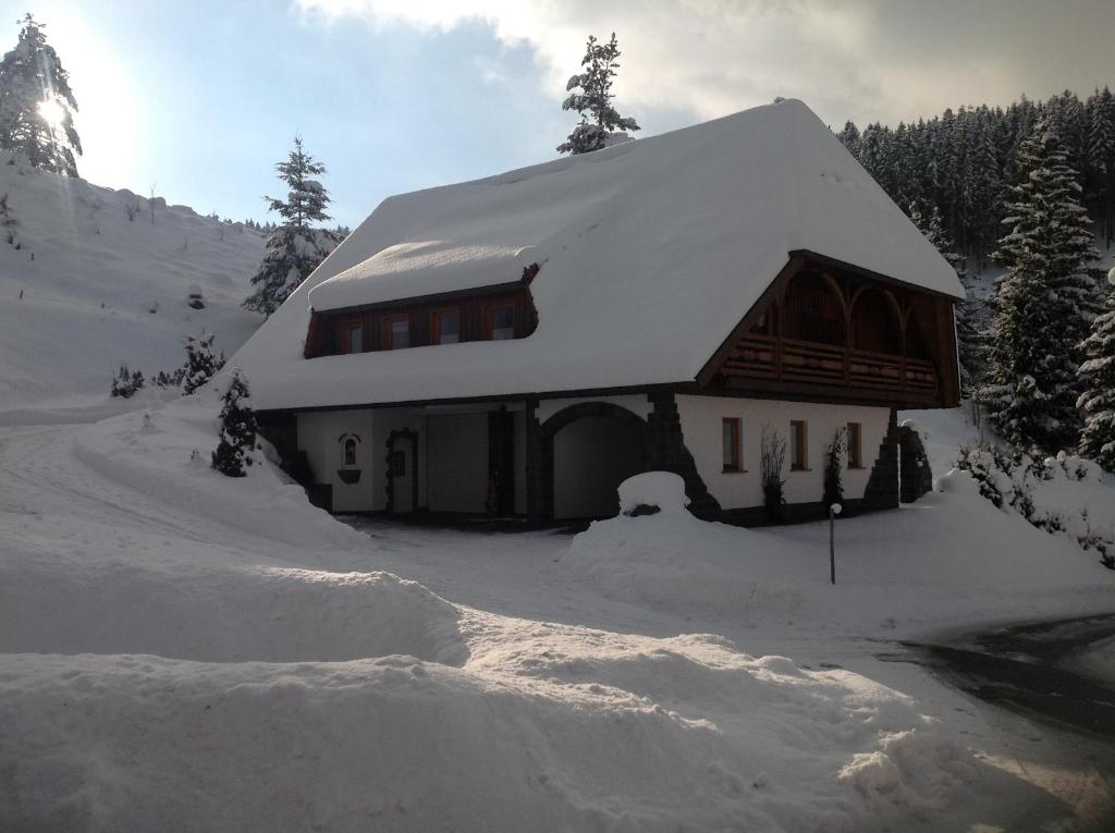 a house covered in snow in the mountains at Holzbildhauerei Kammerer in Triberg