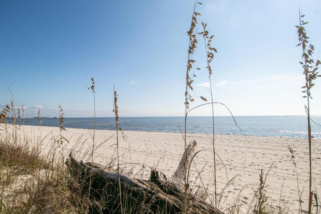 una playa con el océano en el fondo en Legacy Villa 806, en Gulfport