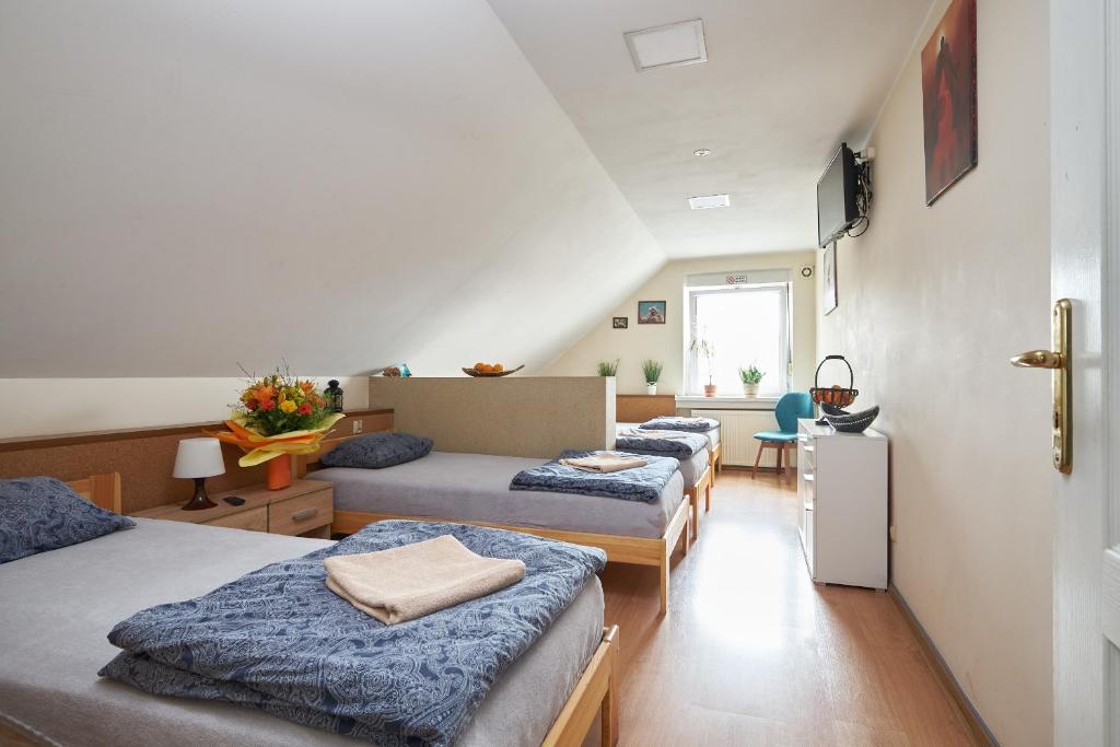 Apartamenty P7 Dzierżoniów - Studio