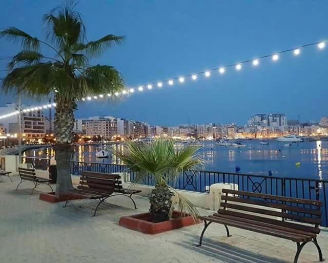 a group of benches and palm trees near the water at Valletta View Apartment - Wish Malta in Sliema