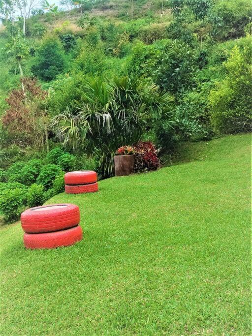 Zahrada ubytování Tesorito House en las Montañas del Quindío