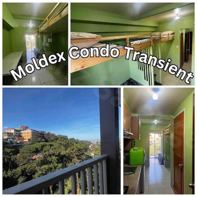 FERNs, Baguio City (aktualisierte Preise für 2024)