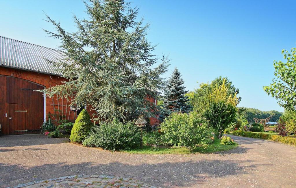 a large tree next to a red barn at Awesome Apartment In Wokuhl-dabelow With Kitchen in Wokuhl