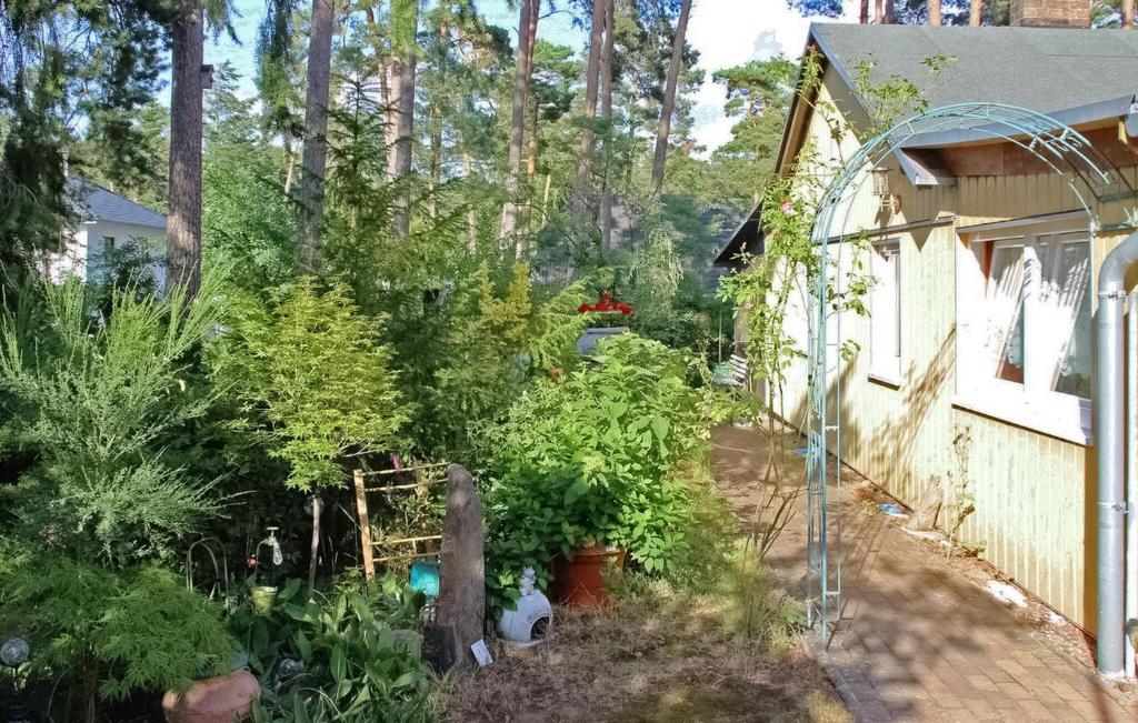 um jardim com plantas ao lado de uma casa em Pet Friendly Home In Lubmin seebad With Kitchen em Lubmin