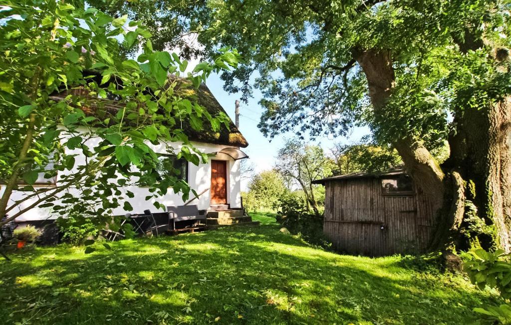 Cabaña con techo de paja y árbol en Awesome Apartment In Nardevitz Auf Rgen With Lake View en Vietzke