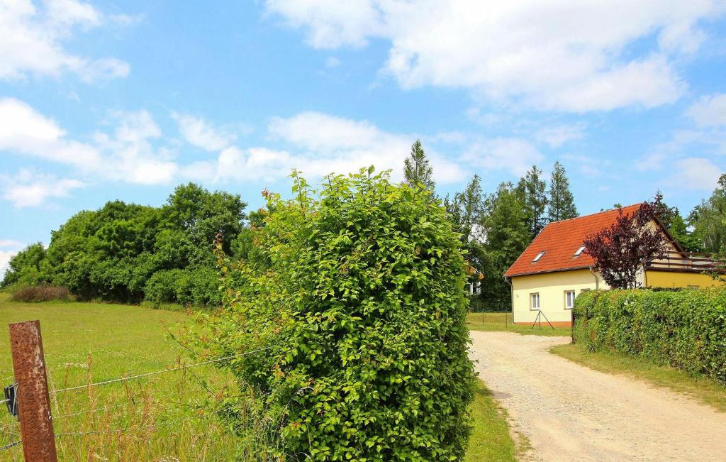 a bush next to a dirt road next to a house at Lovely Apartment In Walow Ot Strietfeld With Lake View in Strietfeld