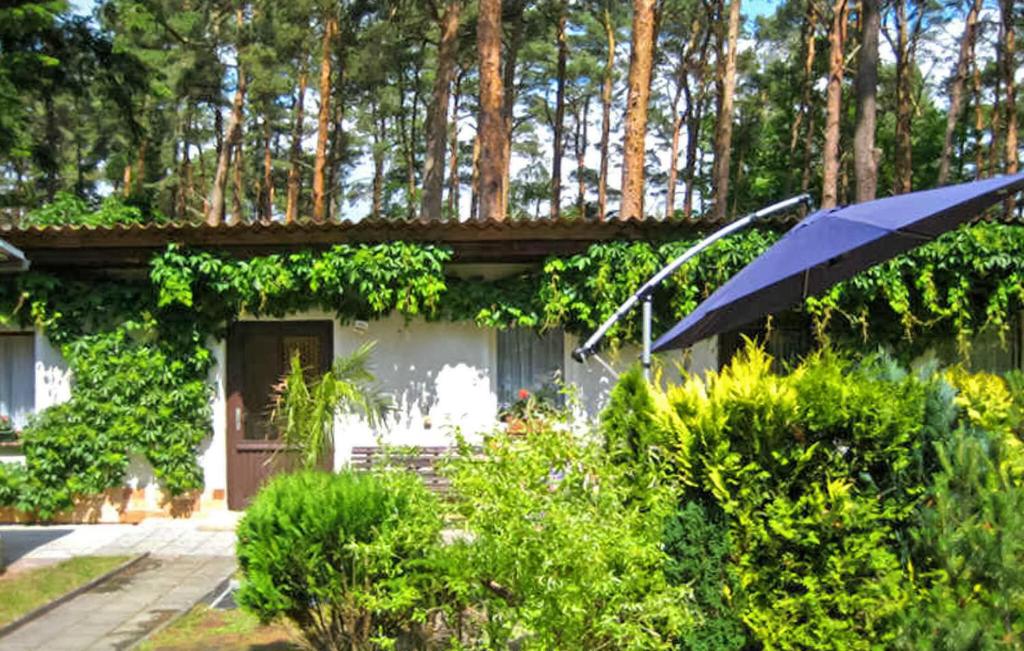 una casa con un paraguas y algunos arbustos en Cozy Home In Lubmin seebad With Kitchen, en Lubmin