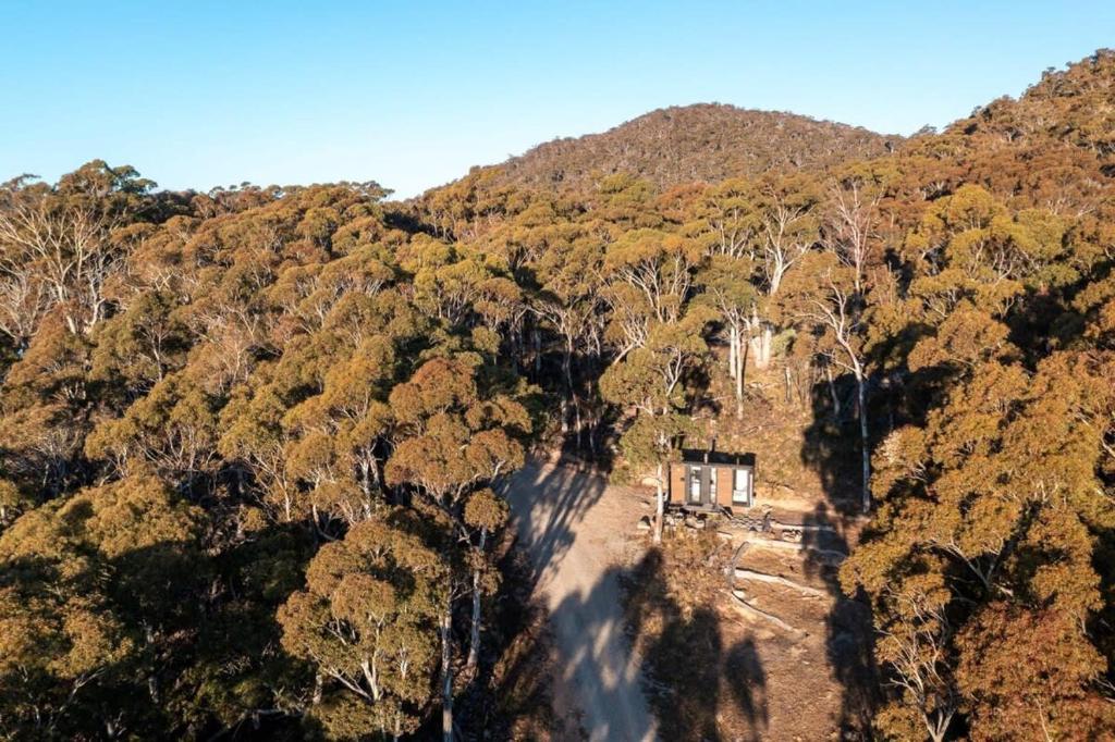 una vista aérea de un bosque con una casa en el medio en Wallaby Cabin, en Crackenback