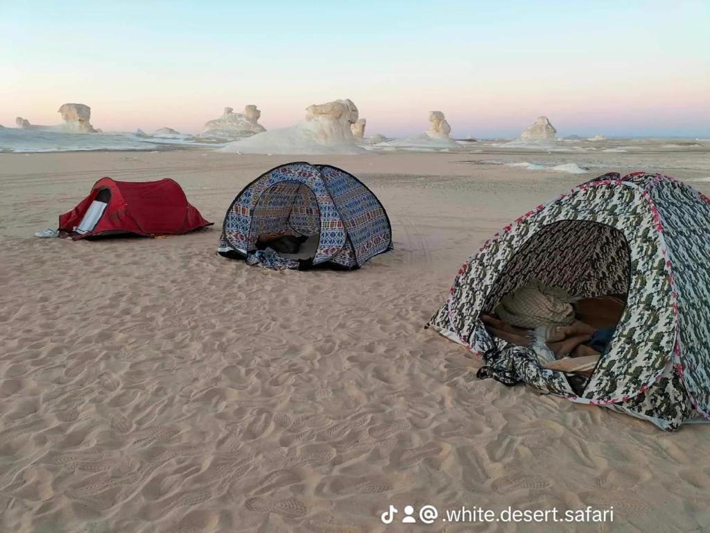 two tents in the sand on a beach at White desert Egypt safari in Bawati