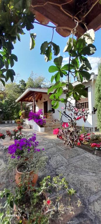 un jardín con flores y una casa de fondo en Villa Helena, en San Gil