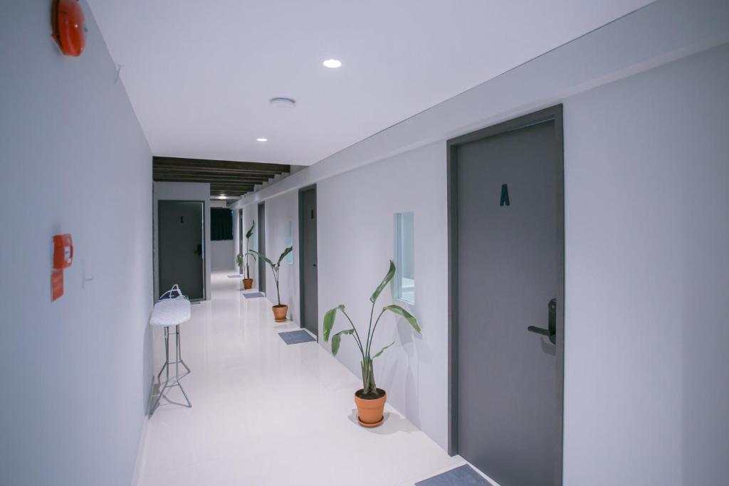 a corridor of an office building with potted plants at Bluewaters Collab Quarters in Singapore