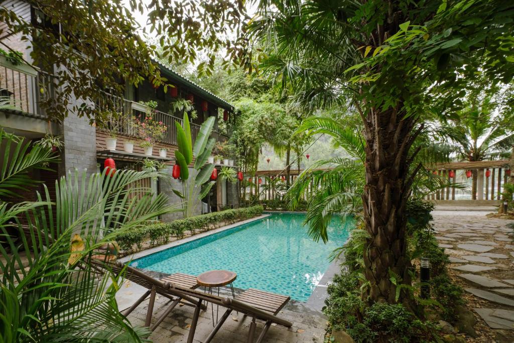 a swimming pool with two chairs and a tree at King Kong Homestay in Ninh Binh