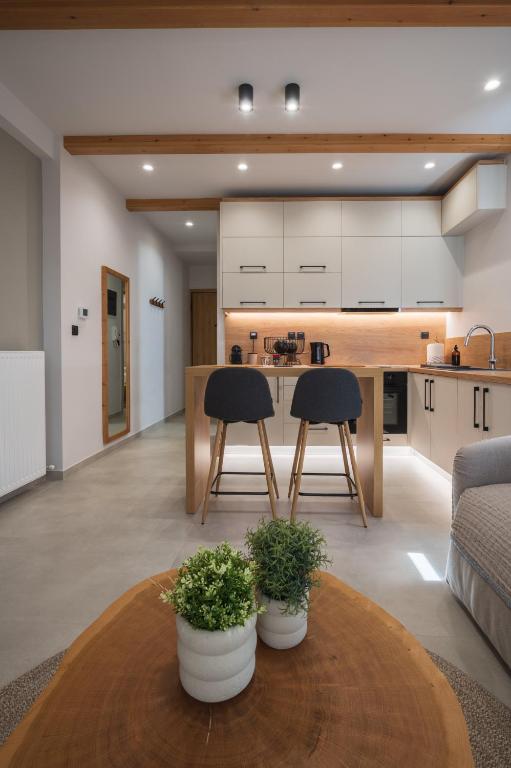Kuchyň nebo kuchyňský kout v ubytování Palaia Luxury Suite