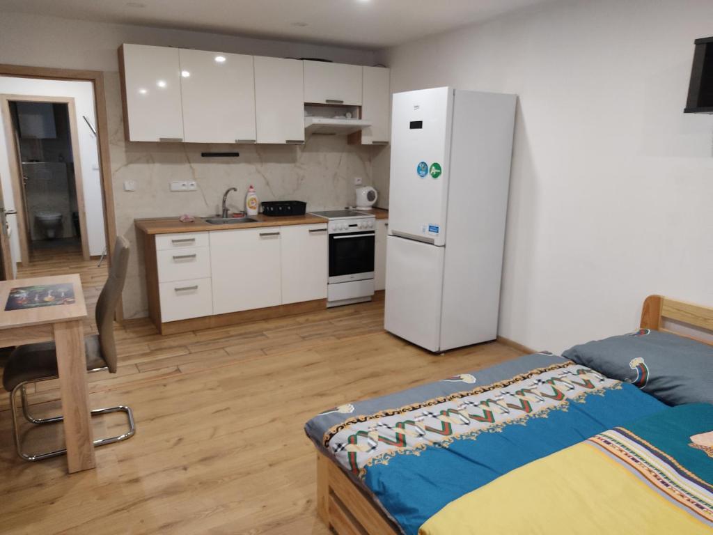 Kuchyň nebo kuchyňský kout v ubytování Malý apartmán v Praze