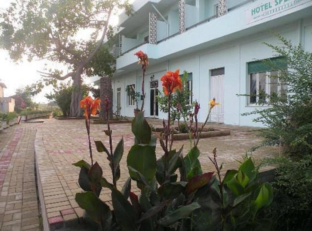 Zahrada ubytování Hotel Splendor