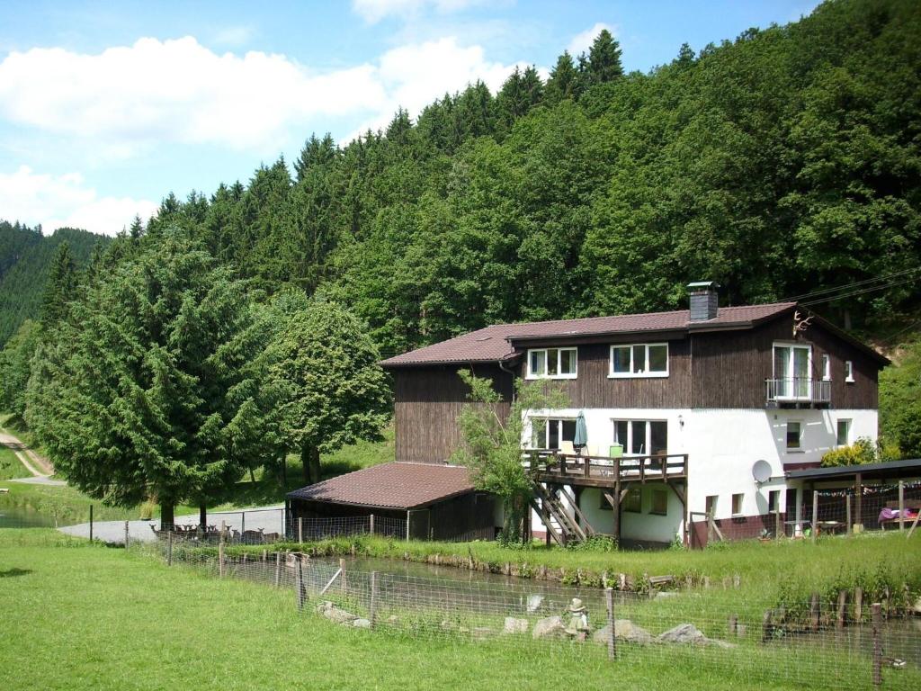 una casa en un campo al lado de una colina en Apartment in Bruchhausen right on the fishing river en Oberveischede