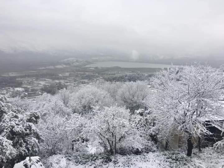 uma foto a preto e branco de árvores cobertas de neve em Mateo & Sara Guesthouse. em Libohovë