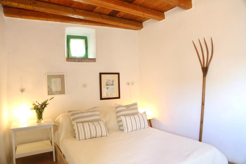 Axion Studios - Vakantiehuis