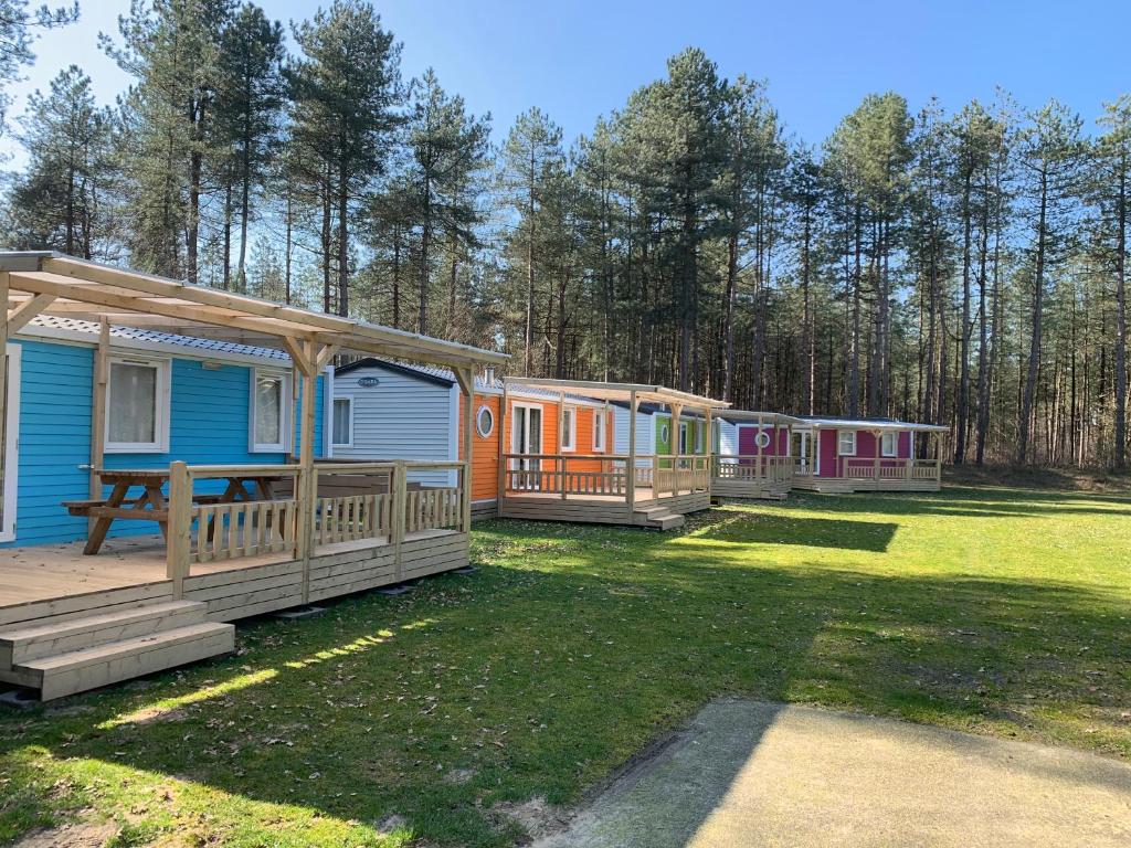 a row of colorful mobile homes in a yard at Happy Lodge in Alphen