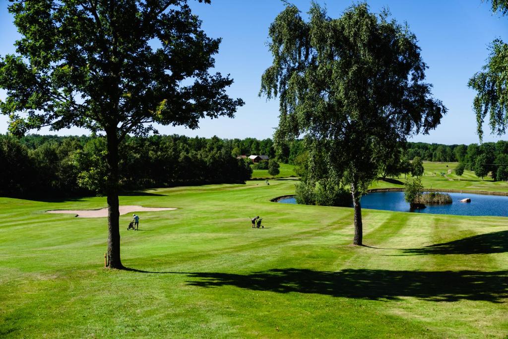 Eldsberga的住宿－Halmstad Tönnersjö Golfbana，在带池塘的高尔夫球场打高尔夫的人