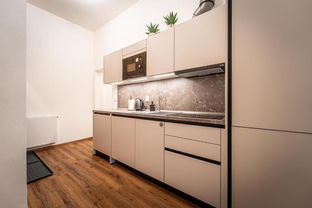 Design Apartments Lužánky - 14