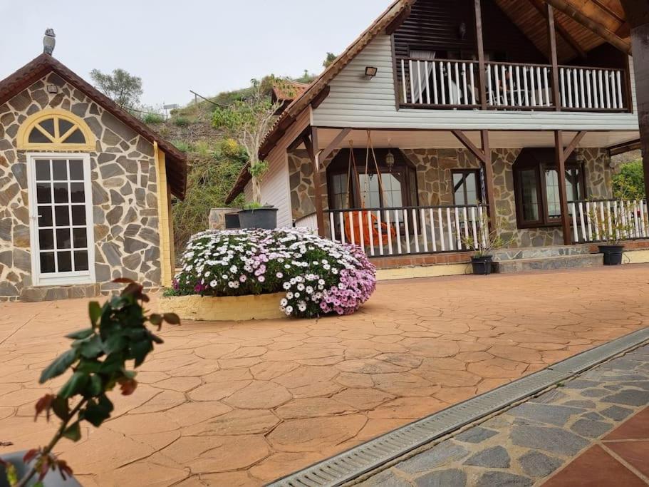 a house with two bushes of flowers in front of it at Casa Oasis in Torrox