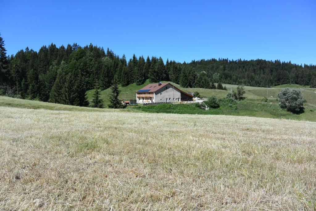 a house in the middle of a grassy field at Gîtes Tré Le Grenier in Les Moussières