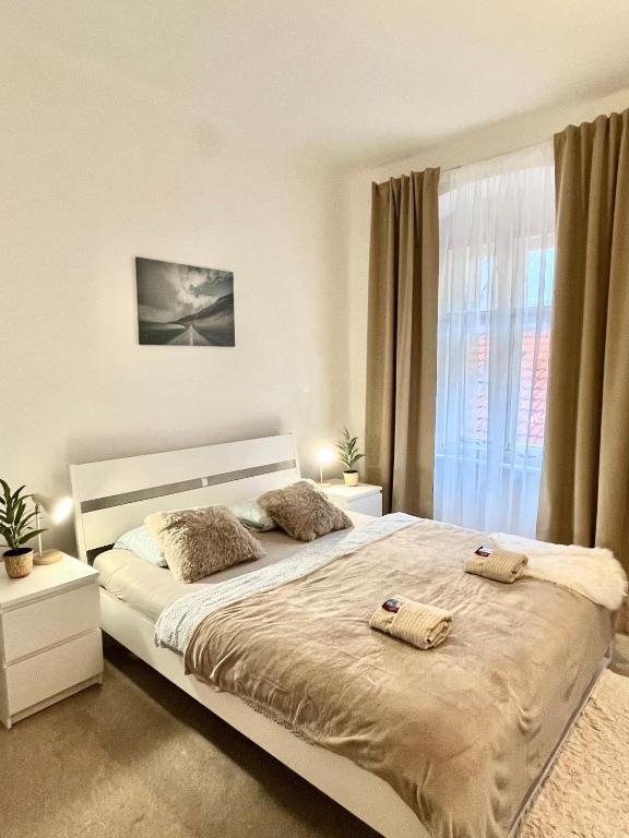 Apartment Lea - Old Town - Apartment