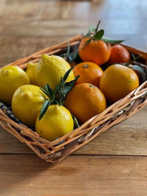 a basket filled with lemons and apples on a table at La dolce vita al lago in Bogliaco