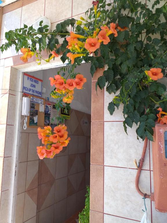 Fotografie z fotogalerie ubytování Ladikos Beach Hotel v destinaci Kardamaina