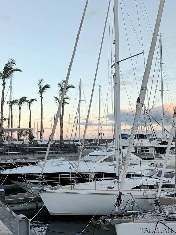 a group of boats docked in a marina with palm trees at Calle Teide 13 in Puerto Calero